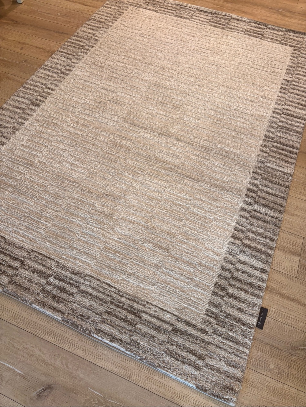 Loloi Area Rug